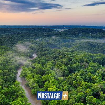 Connexion Nature – Retrouver santé et sérénité au cœur du vivant Connexion Nature – Retrouver santé et sérénité au cœur du vivant