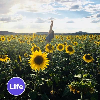 Il più bel periodo della mia vita