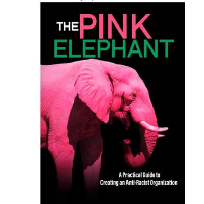 The Pink Elephant, Commissioner Camargo speaks on Chair O’Brien suspension, “the pink elephant haha”