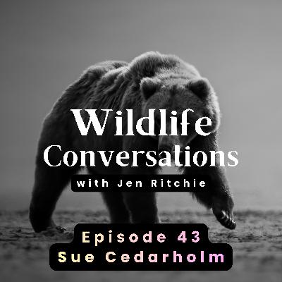 Episode 43: Wildlife Conversations with Sue Cedarholm Episode 43: Wildlife Conversations with Sue Cedarholm