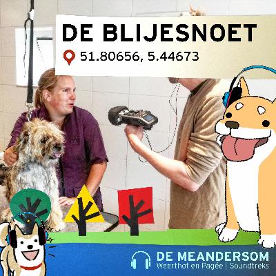 De Meandersom #4 -- De Blijesnoet De Meandersom #4 -- De Blijesnoet