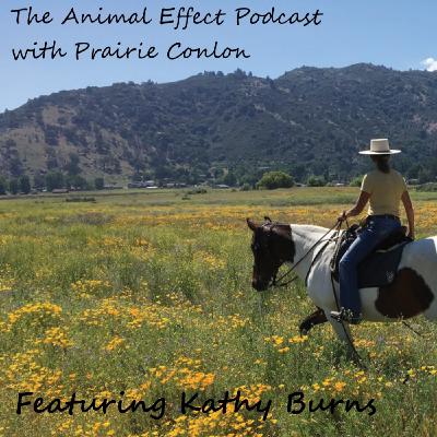 Healing with Horses