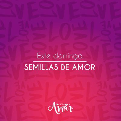 Semillas de Amor