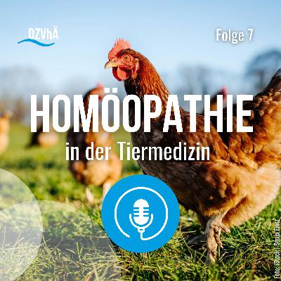 Homöopathie in der Tiermedizin