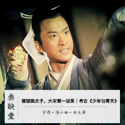 狸猫换太子！大宋第一迷案｜考古《少年包青天》