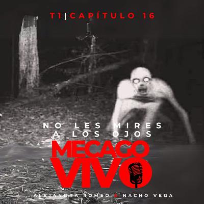 1x16 | No les mires a los ojos | Relato sonoro de Terror