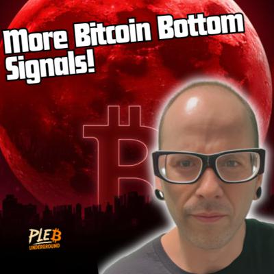 Bitcoin Nears Zone Where Past Bear Markets Have Bottomed Out