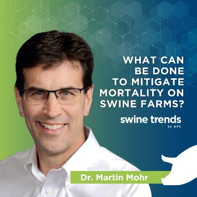 #06 - What can be done to mitigate mortality on swine farms? - Dr. Martin Mohr