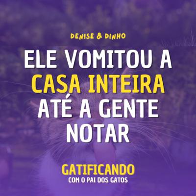 O Gato que me fez entender o quanto ele odiou a ração. (Denise & Dinho) - Gatificando #32