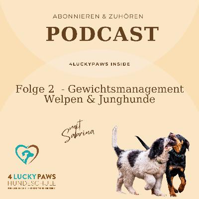 Folge 2 - Ist mein Welpe/Junghund zu dünn?
