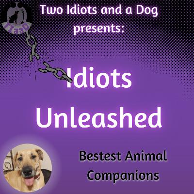 Idiots Unleashed: Best Animal Companions