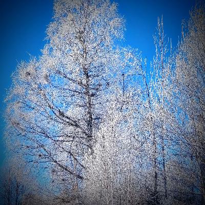 Minusgrader i Skåne till helgen
