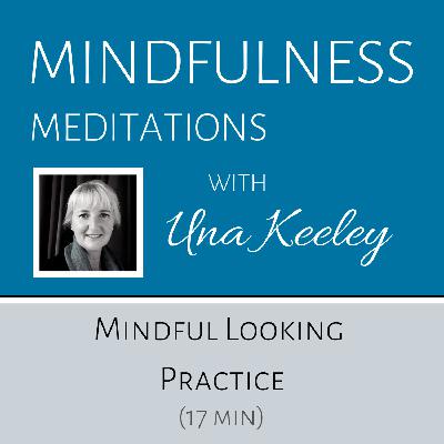 Mindful Looking Practice (17min)