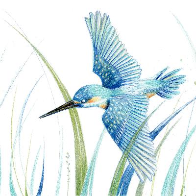"Il luogo dove pescavano le fate"