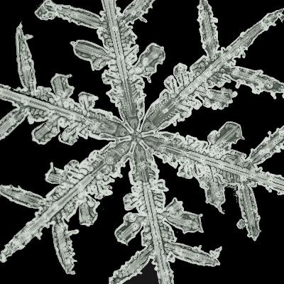 Snowflake Declan?