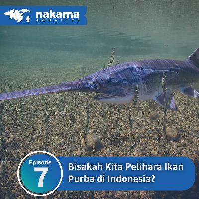 Eps 7 : "Bisakah Kita Pelihara Ikan Purba di Indonesia Eps 7 : "Bisakah Kita Pelihara Ikan Purba di Indonesia