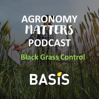 Black Grass Control