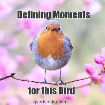 This is the Defining Moment of Every Bird's Life!