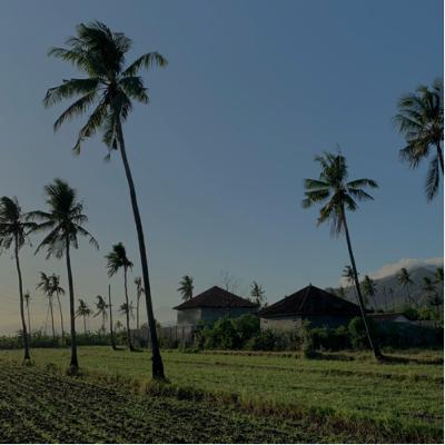sendu asa nan fana