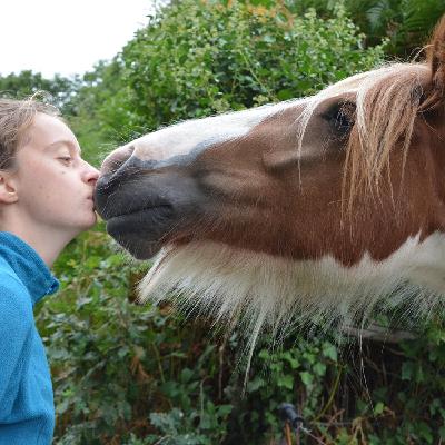 #S2-2025-E22 : Quand les animaux nous accompagnent