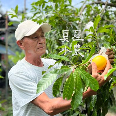 S1E7 蒟蒻般的黃金果,從亞馬遜飄洋到清流部落#谷拉斯 S1E7 蒟蒻般的黃金果,從亞馬遜飄洋到清流部落#谷拉斯