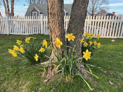 Season 6, Episode 3- Talkin' Springtime with Danny, Dave and Jackie