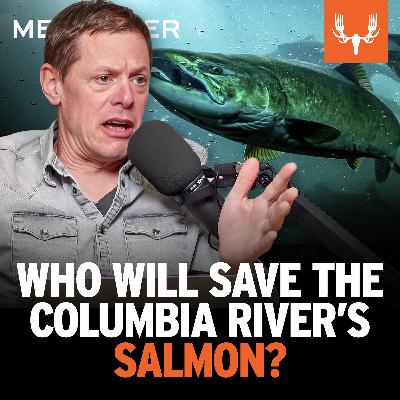 Ep. 829: Who Will Save the Columbia River's Salmon?