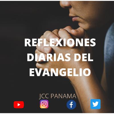 Reflexión del Evangelio del día de Hoy "Jesús llamo a los que quiso y ellos se fueron con El"