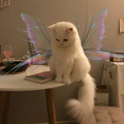 podcast laços de família