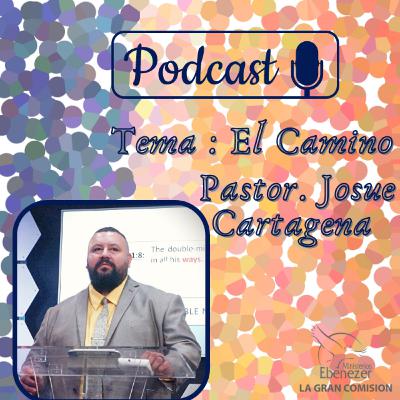 Tema : EL Camino