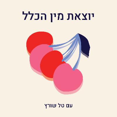 פרק 8- על מבוכה