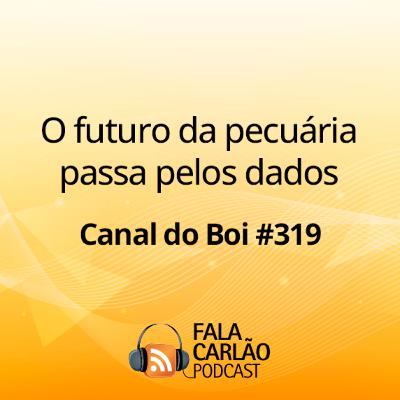 O futuro da pecuária passa pelos dados | Canal do Boi #319