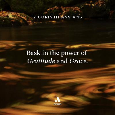 The Power of Gratitude The Power of Gratitude