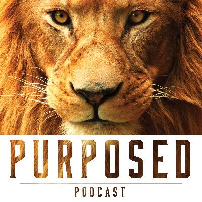 Episode 5 - Part 3: How do we purpose in our hearts?