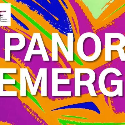 T7x04 PANORAMA EMERGENTE T7x04 PANORAMA EMERGENTE