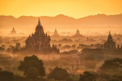 World Elephant Day 2017: Burma and the road to Humanity