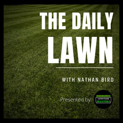 The Daily Lawn - Introduction