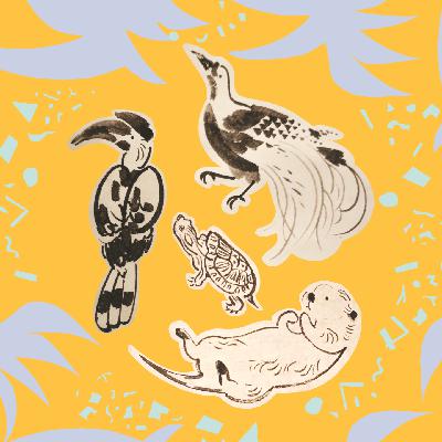 30.经济上行的新加坡，没有流浪猫，到处是巨蜥和水獭