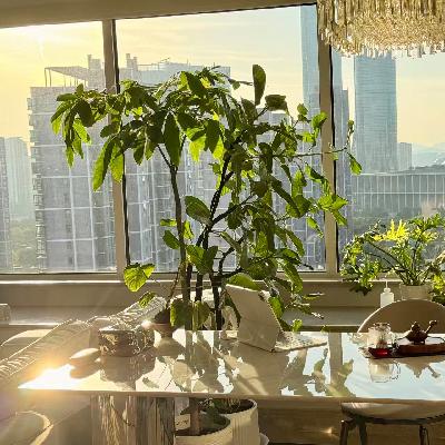 #44 心缺，才会脑补