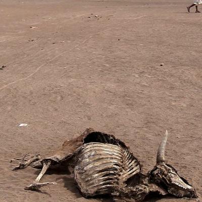 11. The Great Persian Famine