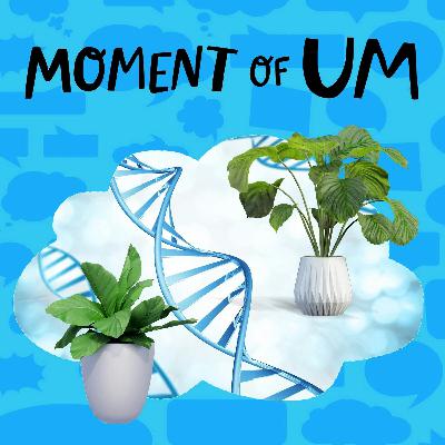 Do plants have DNA?