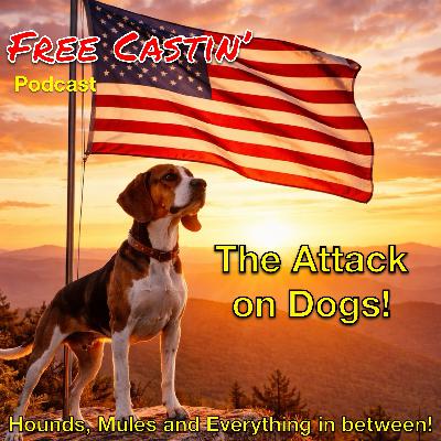 The attack on Dogs!