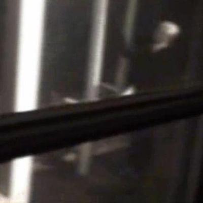 #150: Lindyman Creepypasta (2021/6/22)