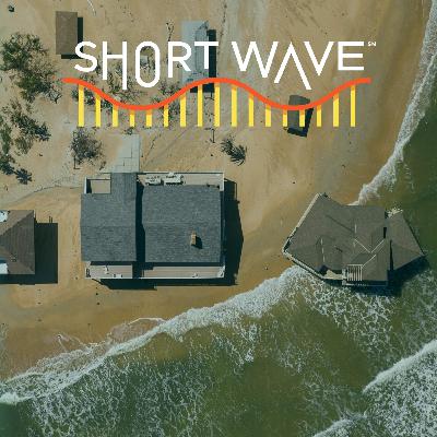 Nature Quest: How High Will Sea Levels Rise?