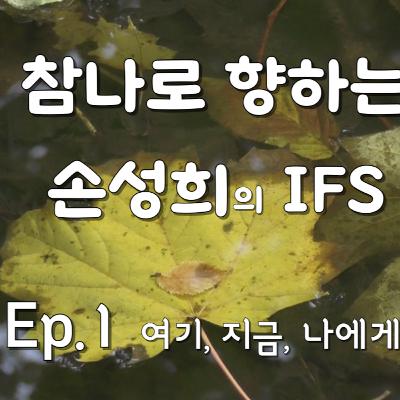 손성희의 IFS 명상 Ep.1 - 여기, 지금, 나에게로 돌아오기