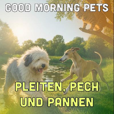 GMP88: Pleiten, Pech und Pannen