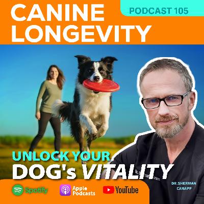 Canine Longevity-Unlock Your Dog's Vitality Canine Longevity-Unlock Your Dog's Vitality
