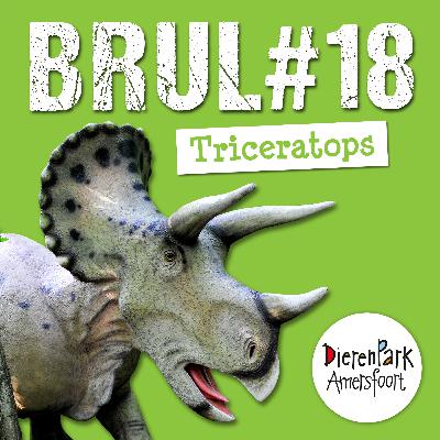 Nieuwe dino-ontdekking over triceratops | BRUL #17