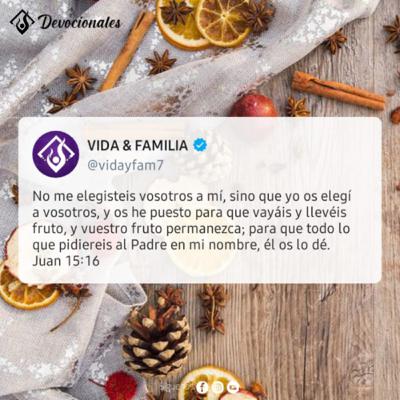 El té vio Primero