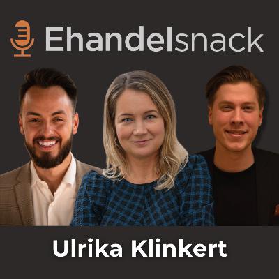 Mattor för Miljonen & E-handel i Världsklass! | Ulrika Klinkert; Rugvista Mattor för Miljonen & E-handel i Världsklass! | Ulrika Klinkert; Rugvista